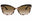 0JAZ Y6 - Black Blush Tortoise /  brown gradien