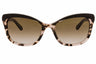 0JAZ Y6 - Black Blush Tortoise /  brown gradien
