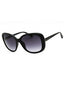 01B - shiny black  / gradient smoke