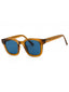 45V - shiny light brown / blue
