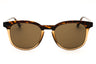 217 - HAVANA/TRANSPARENT CARAMEL/Brown