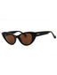 01E - shiny black  / brown