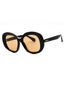 01E - shiny black  / brown