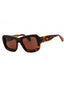6064 - HAVANA / BROWN