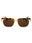 6064 - Havana brown