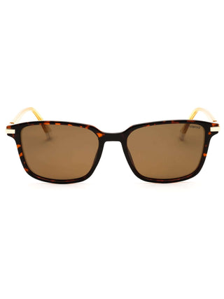Polaroid Core PLD 4169/G/S/X Sunglasses