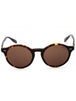 567373 - Shiny Dark Tortoise/Dark Brown