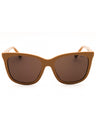 619673 - Shiny Brown / Dark Brown