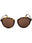 621273 - Shiny Dark Tortoise/Gold /  Dark Brown
