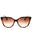 240 - TORTOISE/Brown Gradient