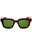 240 - TORTOISE/Green