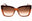 619 - BURGUNDY/TRANSPARENT BROWN/Brown Gradient
