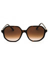100213 - Tortoise / Brown Gradient