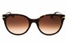 80153B - Havana/Brown Gradient