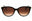 81343B - Havana Brown gradient