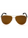 32H - Gold / Brown Polarized