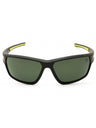 20R - grey/other / green polarized