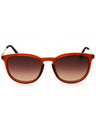 48H - shiny dark brown / brown polarized