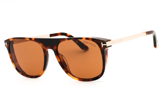 Tom Ford FT1105 Sunglasses-Beverly Hills Eyewear