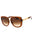 532413 - Transparent Brown /Brown Gradient