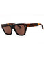001 - BLACK/Brown