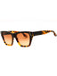 231 - DARK HAVANA FADE/Brown Gradient