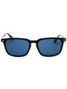 01V - shiny black  / blue