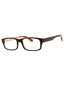 050 - Dark Brown / Clear Lens