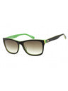 (315) - Dark Green / Green