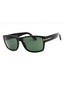 01N - Shiny Black / Green
